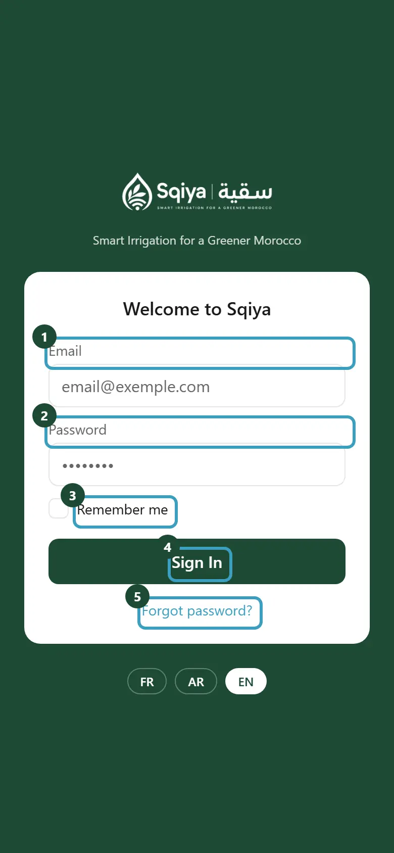 Sign-in screen with the Email and Password fields